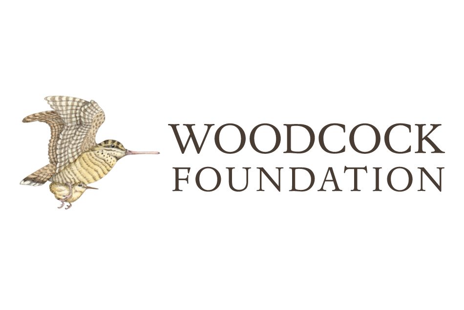 Growing Kings Receives $20,000 Grant from the Woodcock Foundation